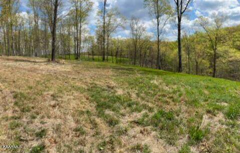 Bear Knob Lane - Photo 1