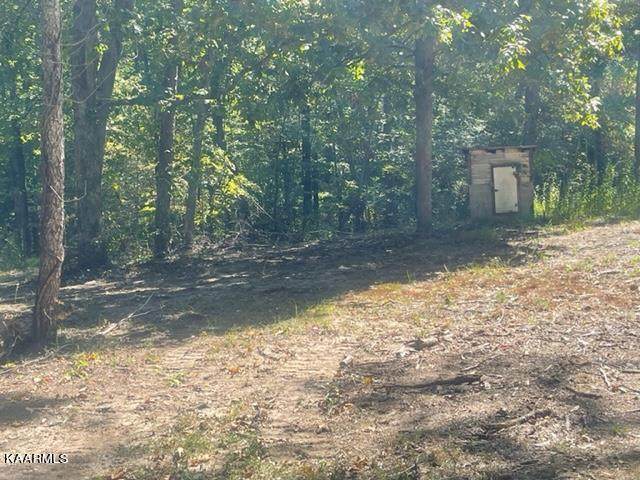 00 County Road 149 - Photo 1