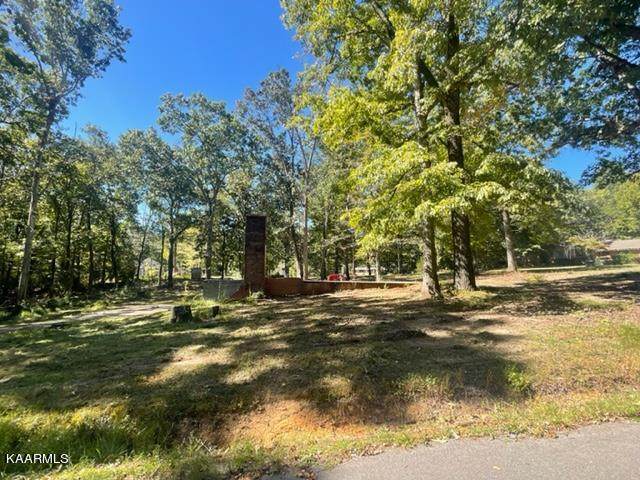 159 County Road 151 - Photo 1
