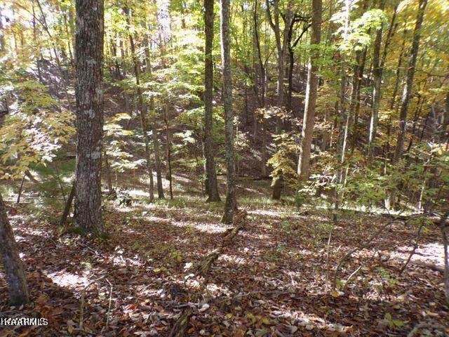 123 Pineridge Loop - Photo 1