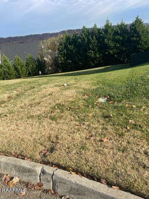505 Calthorpe Lane - Photo 1