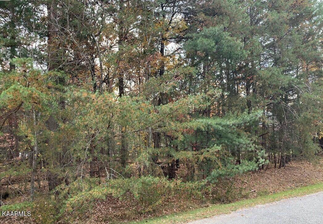 19 Inwood Drive - Photo 1