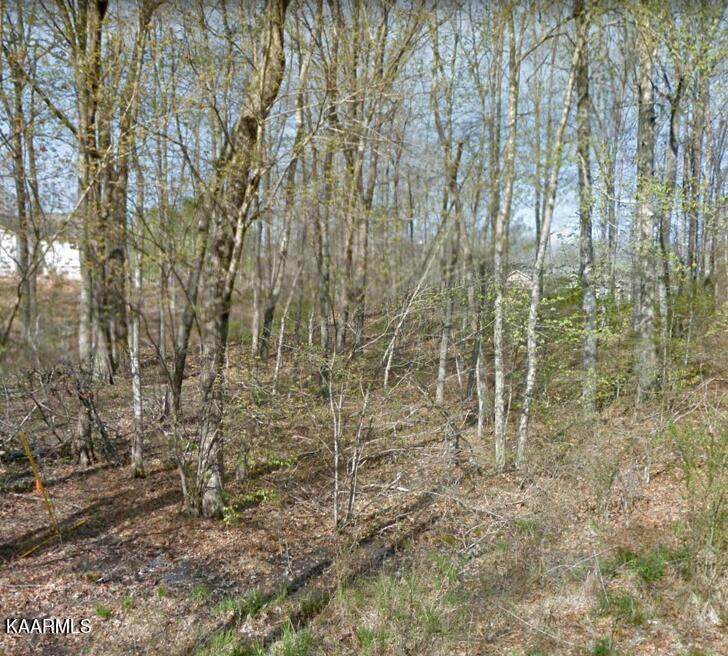 4030 Kila Drive - Photo 1