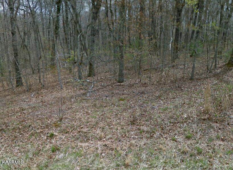 4024 Klamath Circle - Photo 1