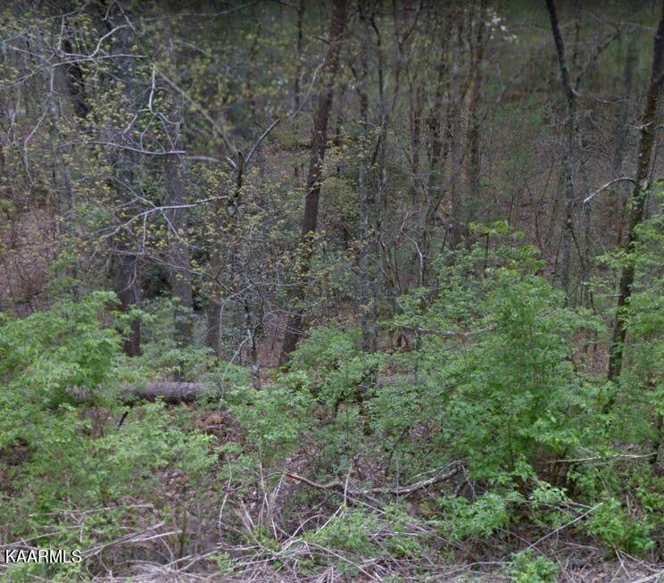 4146 Moccasin Lane - Photo 1