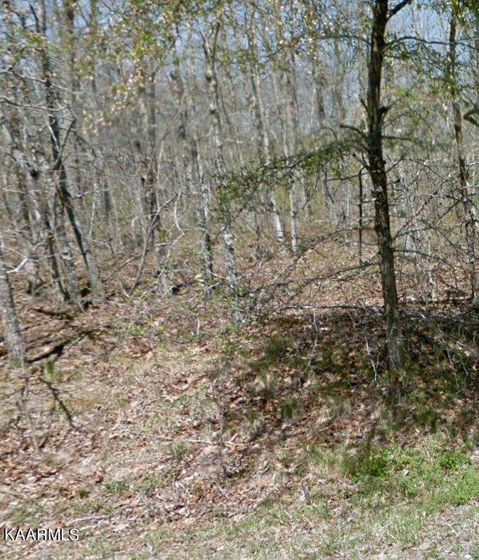 9055 Mineola Tr - Photo 1