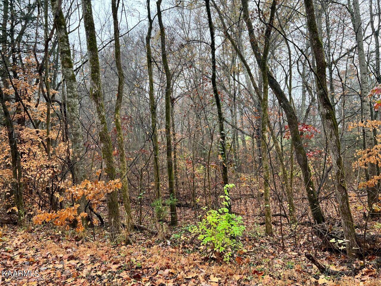 Lot 7 Butler Rd - Photo 1