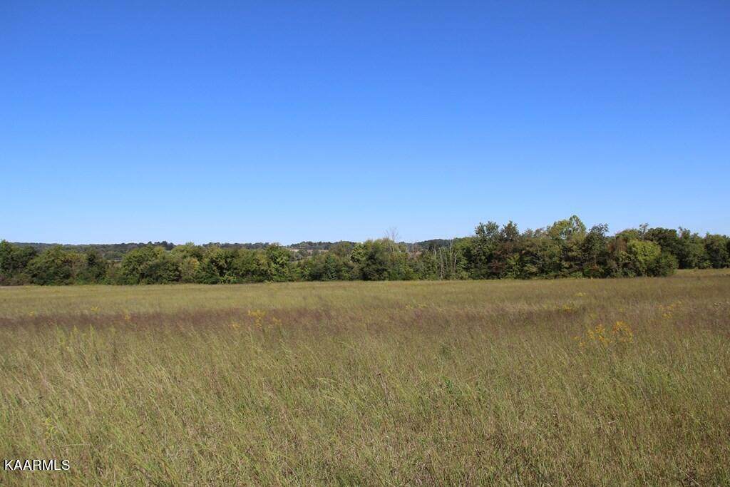 000 County Road 384 - Photo 1