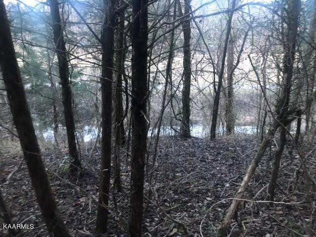 West Of Sugar Creek Rd - Photo 1