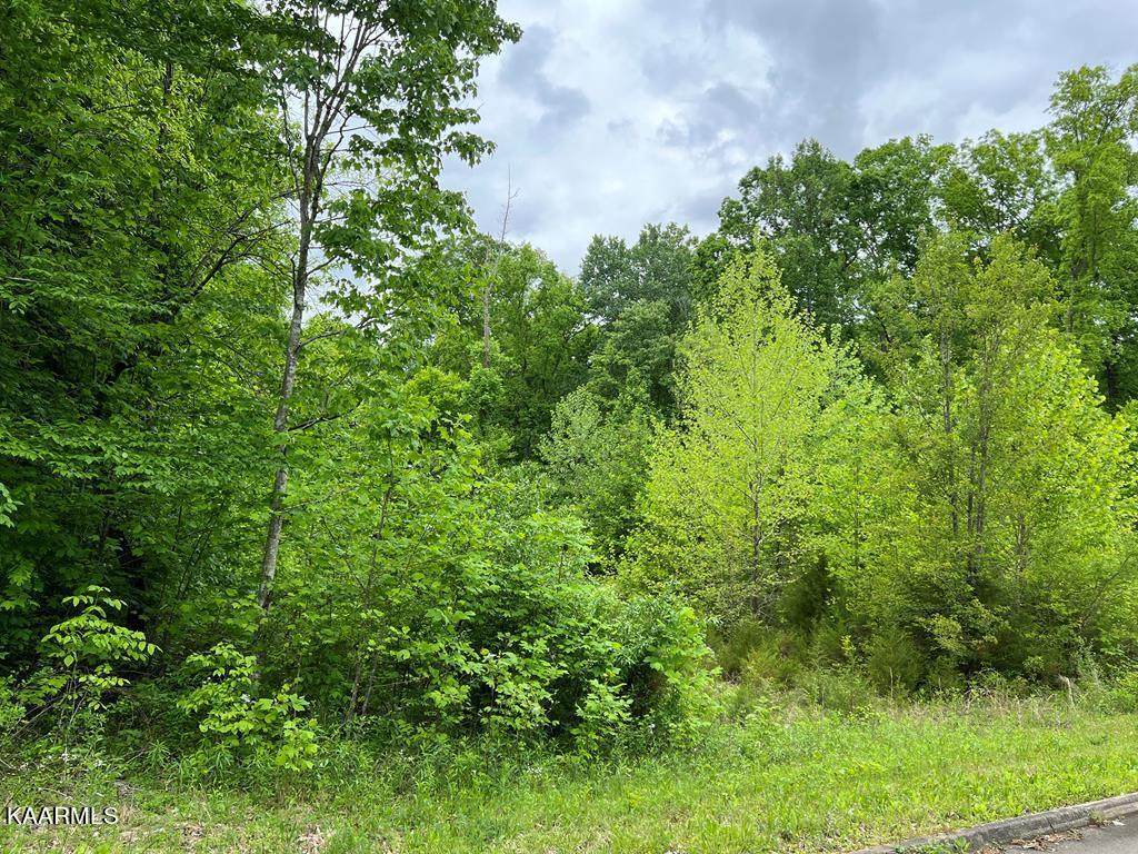 Tom Patterson Trail - Photo 1