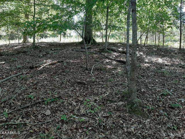 Deer Pond Circle - Photo 1