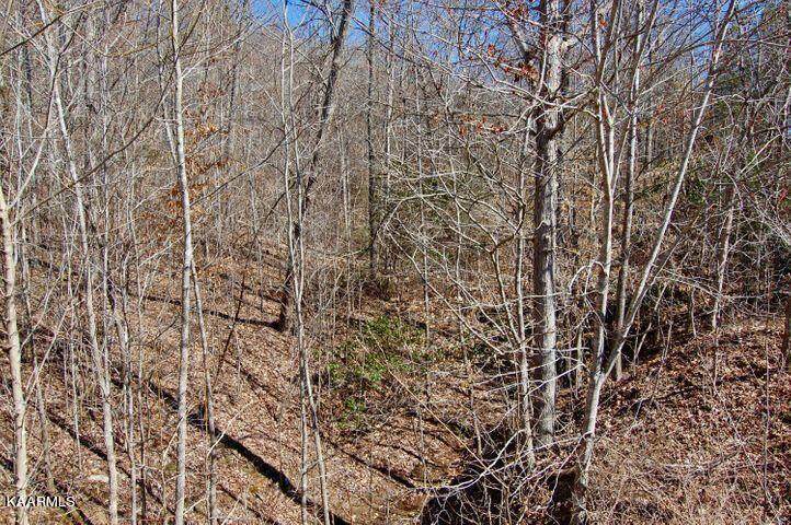 Lot 321 Bluegreen Way - Photo 1