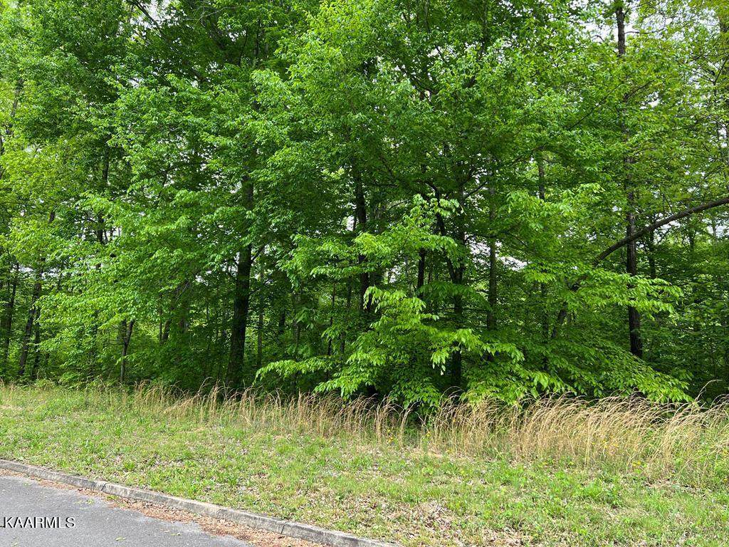 Lot 25 Tom Patterson Trail - Photo 1