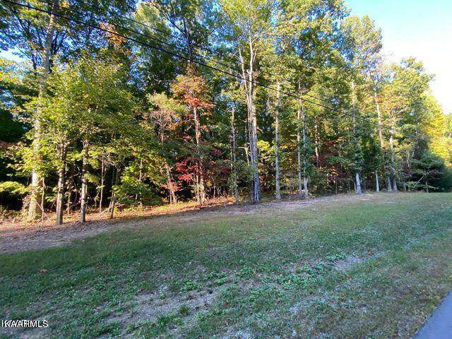 Falls Rd Hwy 70 - Photo 1