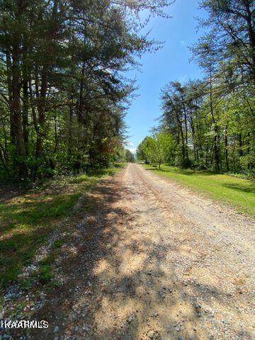 Lot 19 York Rd - Photo 1