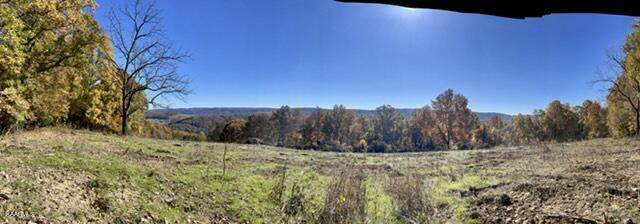 73 Acres Little Valley Rd - Photo 1