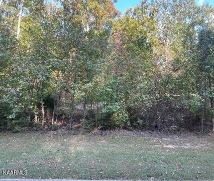 Eagle Ridge Rd - Photo 1