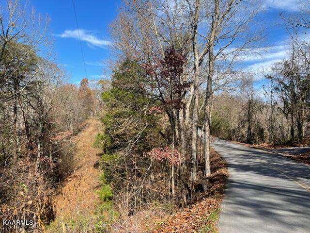 Happy Hollow Ln Lot 71 - Photo 1