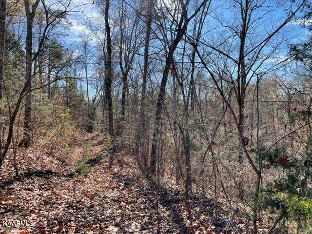 Happy Hollow Ln Lot 72 - Photo 1