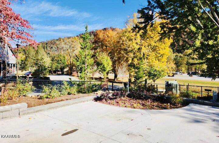 Lot 193 Highway 73 - Photo 1