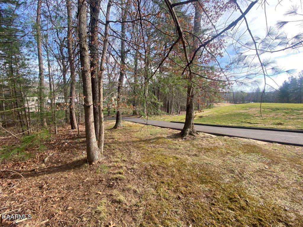 64 Renwick Drive - Photo 1