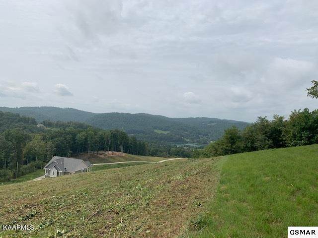 Mountain Way - Photo 1