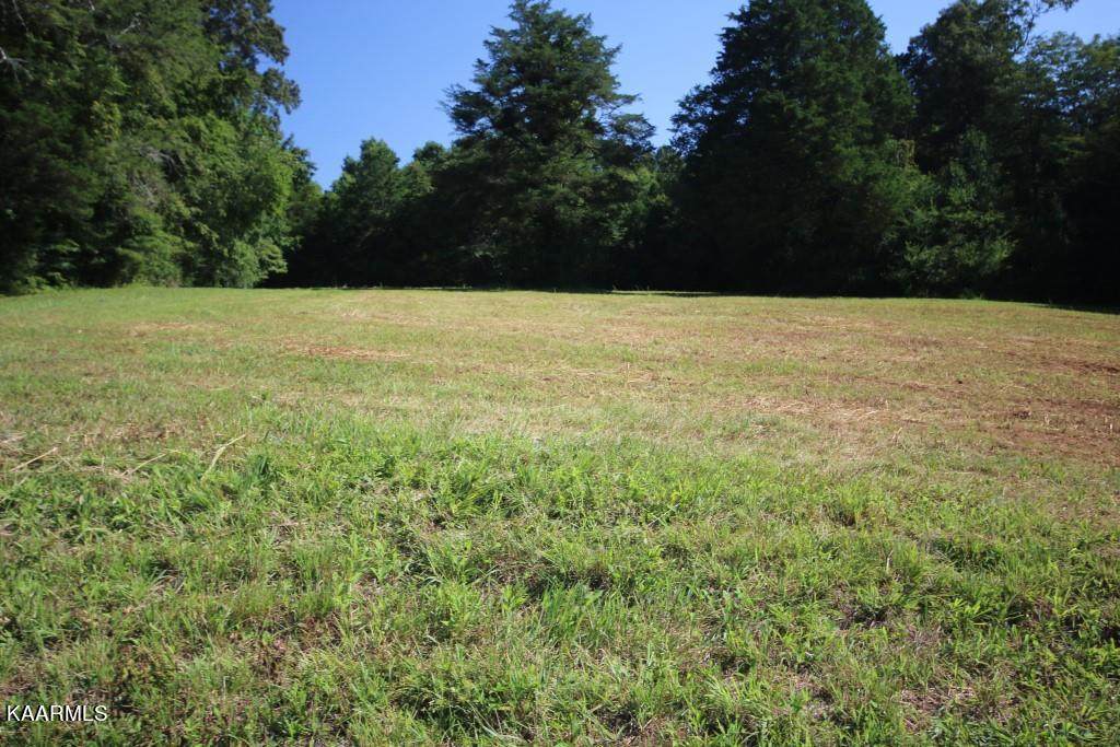 Tract 5 County Road 750 - Photo 1