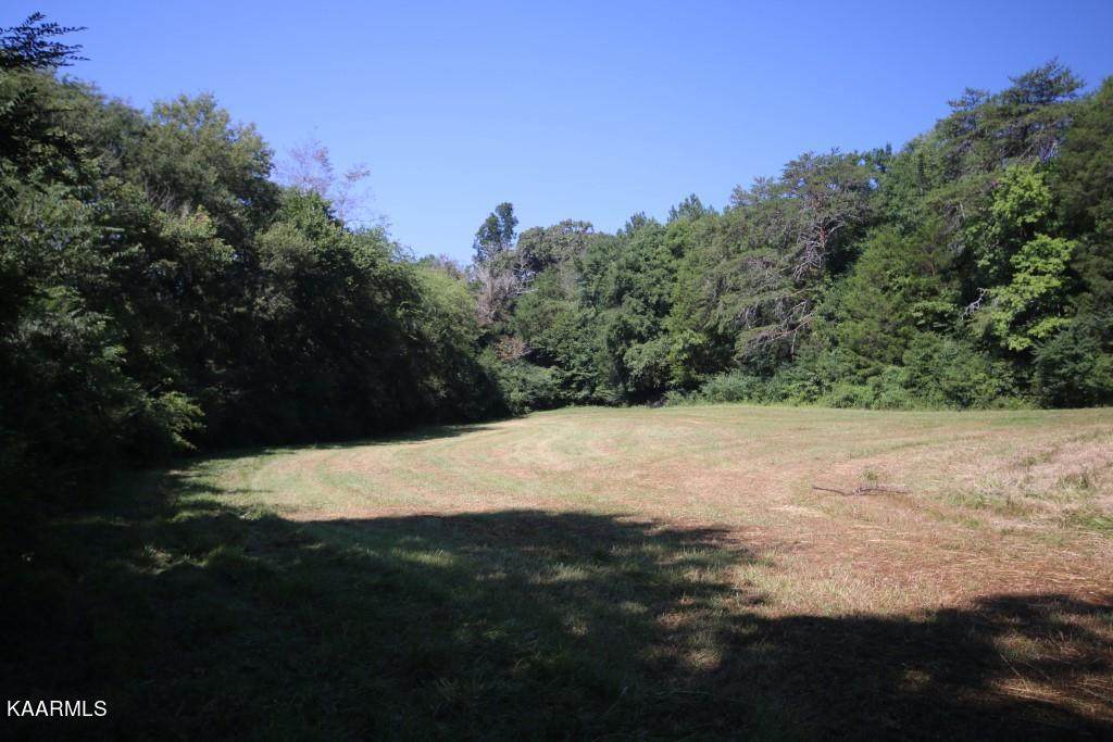 Tract 8 County Road 750 - Photo 1