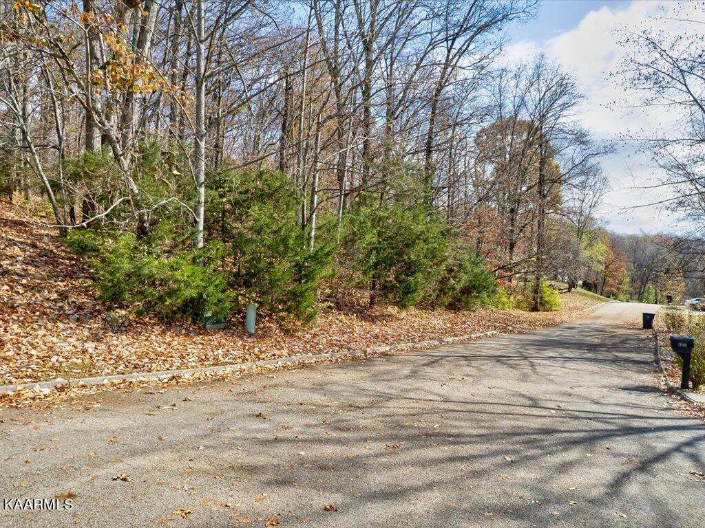 3641 Meadowland Drive - Photo 1