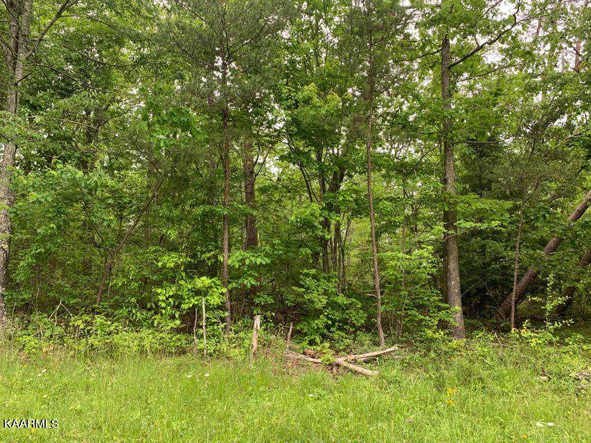 Cumberland Lakes Drive - Photo 1
