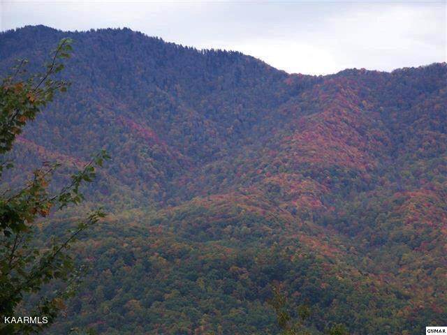 00 Scenic Trail - Photo 1