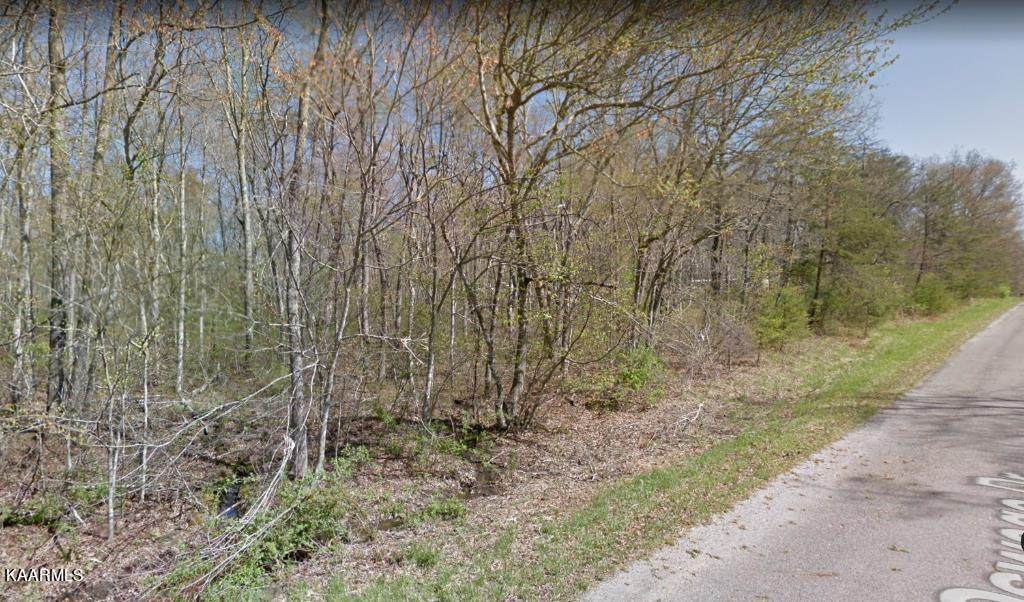 3229 Oswego Rd - Photo 1