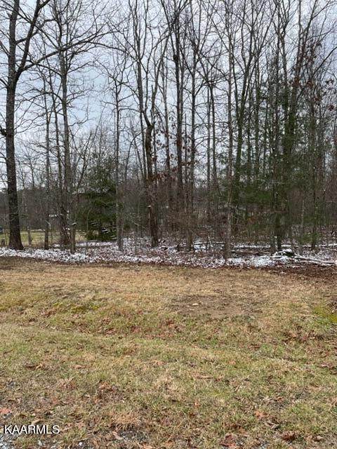 9062 Mineola Tr - Photo 1
