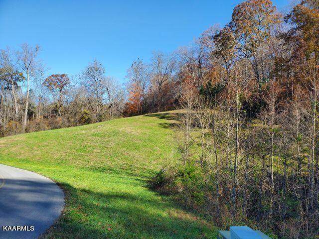 404 Lot Russell Brothers Rd - Photo 1