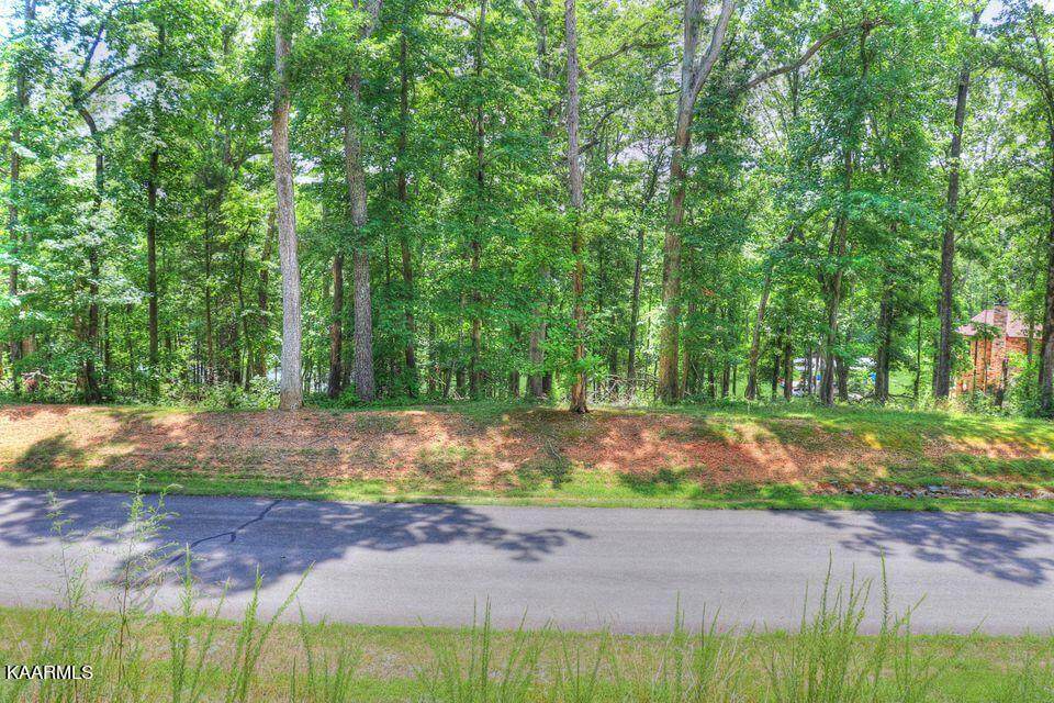 Lot 55 Shore Drive - Photo 1