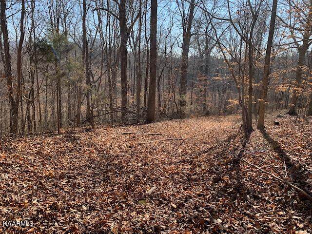 6524 Cherry Creek Rd - Photo 1