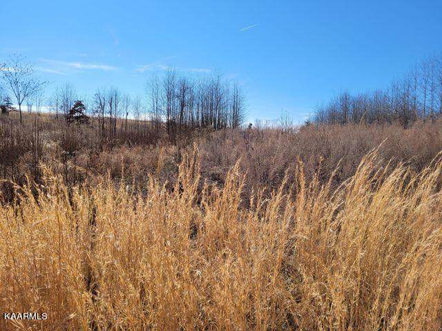 Lot 343 Water View Drive - Photo 1