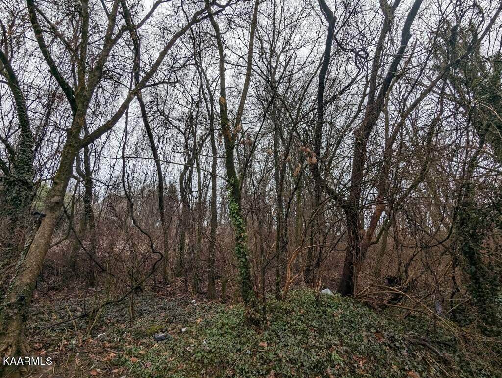 Lot 61 Lilac Ave - Photo 1