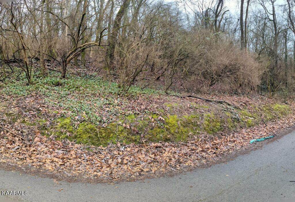 Lot 60 Lilac Ave - Photo 1