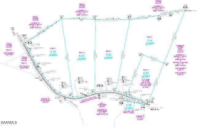 Tract 1 Chestnut Grove Rd - Photo 1