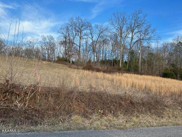 Robertson Hill Rd Rd - Photo 1