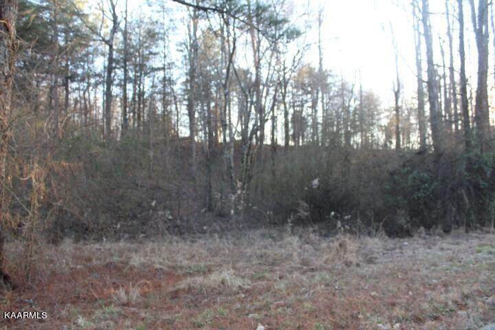  County Road 786  Lot 2 - Photo 1