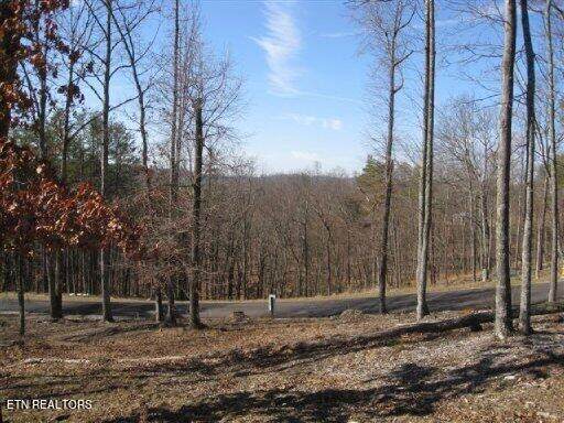 Lot #32 Bayside Blvd - Photo 1