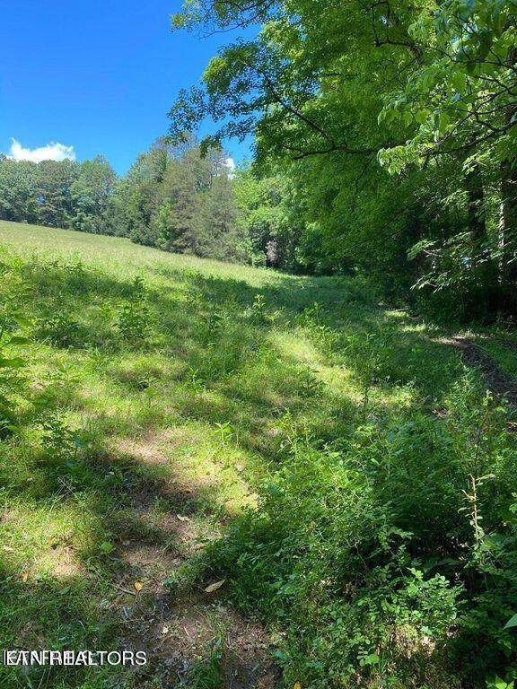 https://bt-photos.global.ssl.fastly.net/kaar/orig_boomver_1_1248177-2.jpg