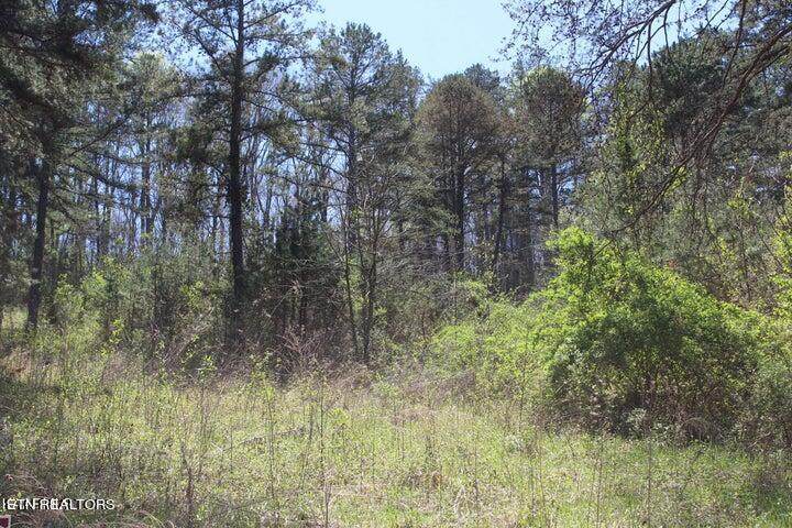 Topside Rd - Photo 1