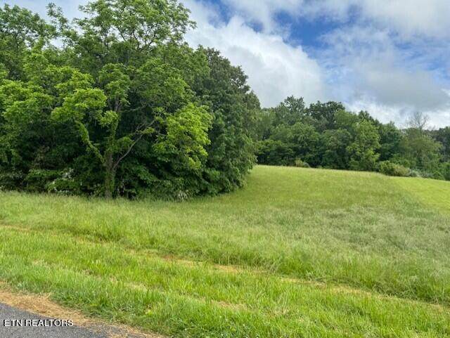 Old Sweetwater Road - Photo 1