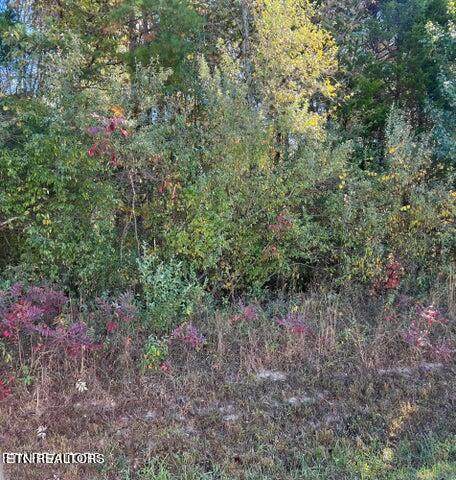 11424 Watkins Rd - Photo 1