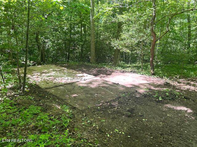Lot 706 Retreat Drive - Photo 1