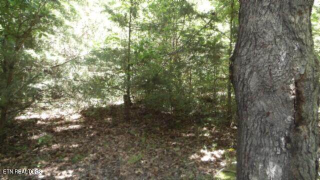 6.90ac Zion Hill Rd - Photo 1