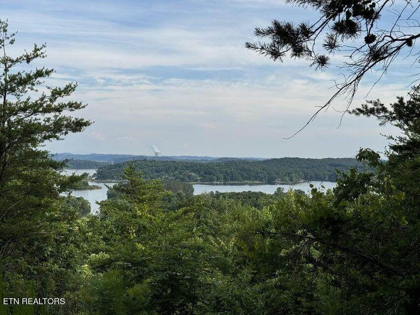 00 Piney Point Rd - Photo 1
